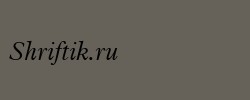 Aldine 721 Light Italic BT 
